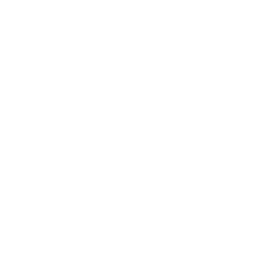Kirschblüte NT